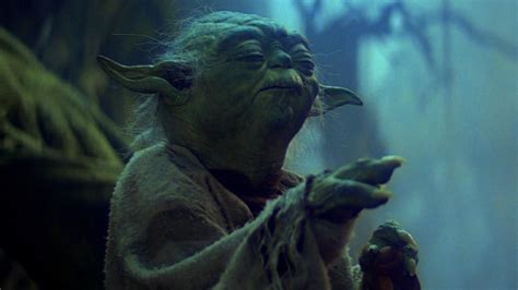 lis yoda|Star Wars: Everything We Know About Yoda's Species .